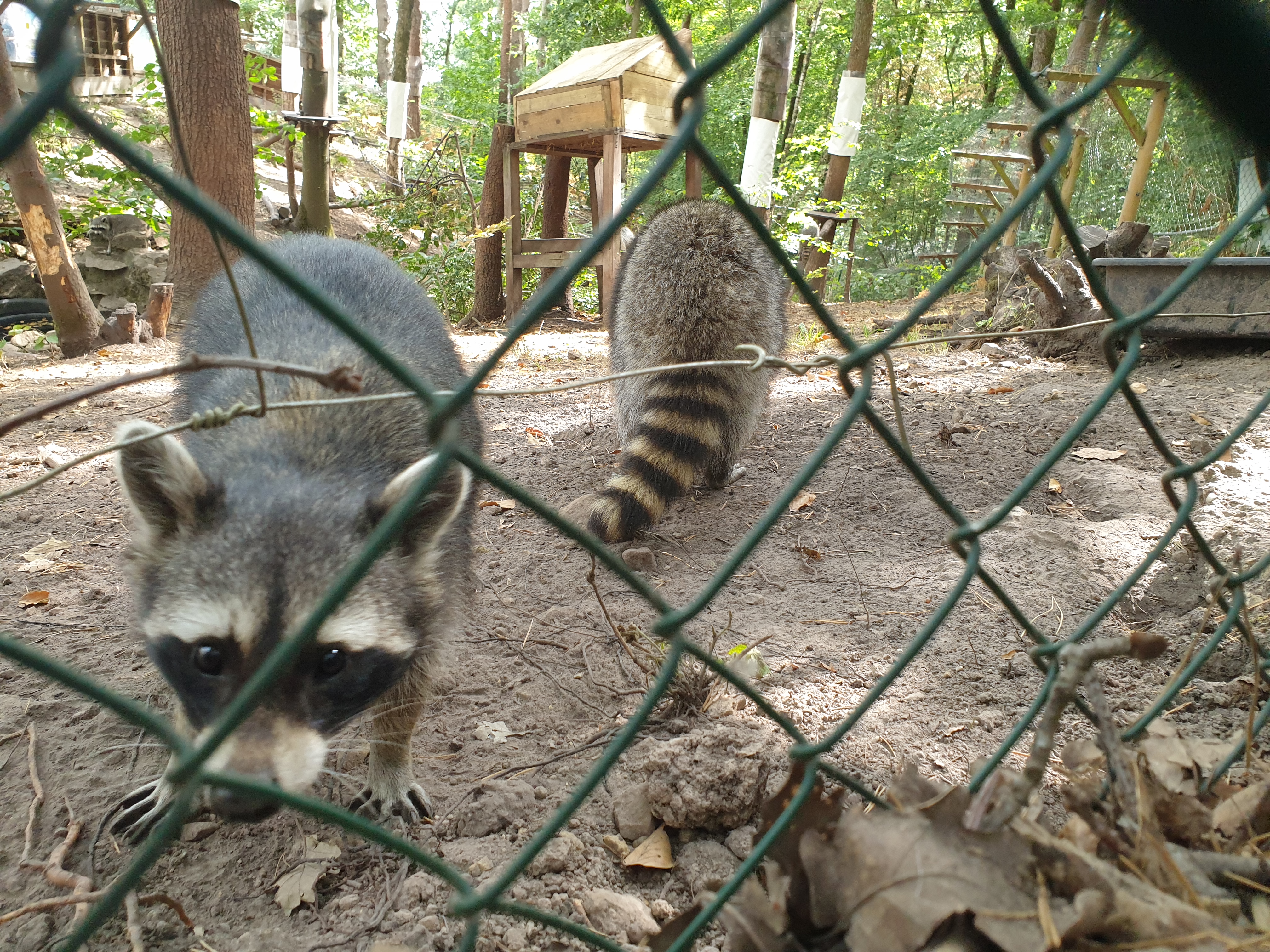 Photo n° 2 de l'avis de Sia.u fait le 18/08/2020 à 16:01