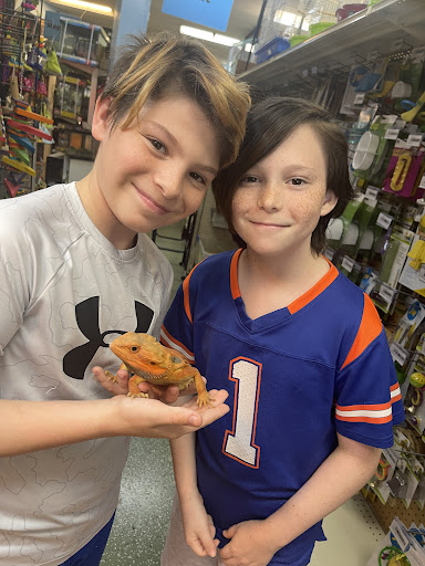 Pet Store «A Family Pet Center», reviews and photos, 6230 N Lockwood Ridge Rd, Sarasota, FL 34243, USA