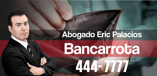 Attorney «Eric Palacios & Associates Ltd», reviews and photos