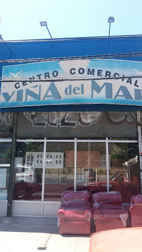 Centro Viña Del Mar