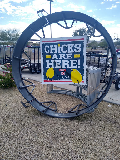 Home Improvement Store «Tractor Supply Co.», reviews and photos, 10545 E Main St, Apache Junction, AZ 85120, USA