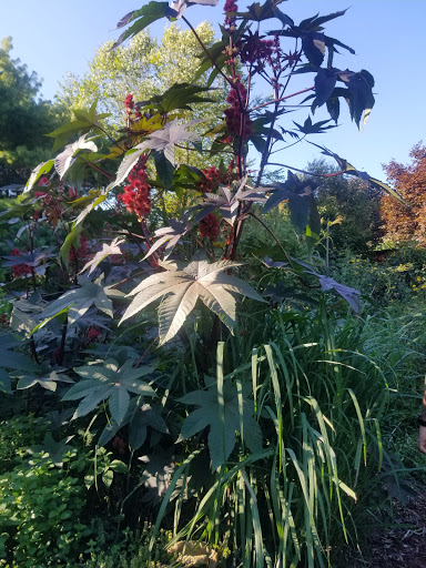 Garden Center «Southern Exposure», reviews and photos, 11269-N Dr North, Battle Creek, MI 49015, USA