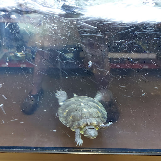 Pet Supply Store «Petco Animal Supplies», reviews and photos, 364 Randall Rd, South Elgin, IL 60177, USA