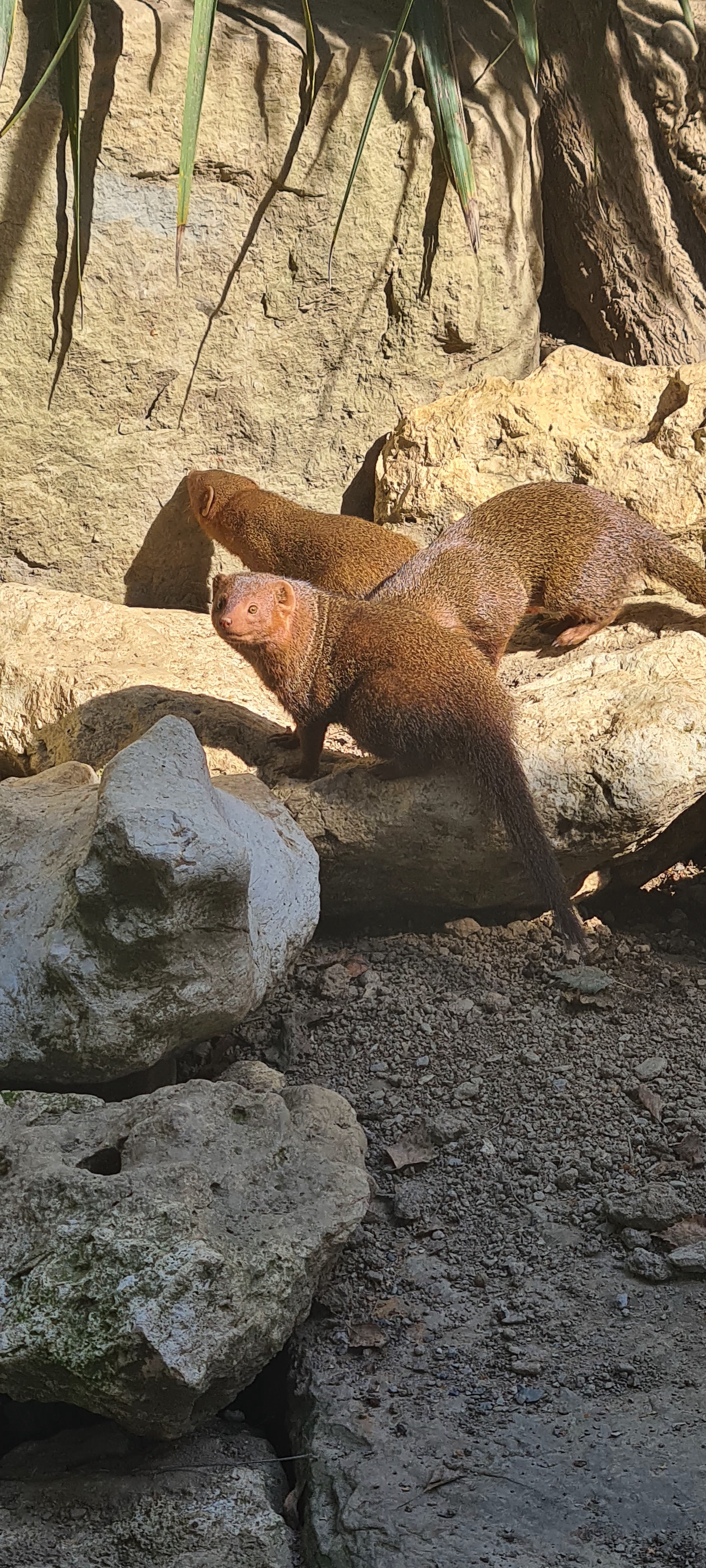 Photo n° 22 de l'avis de Jacky.r fait le 18/09/2022 à 05:13