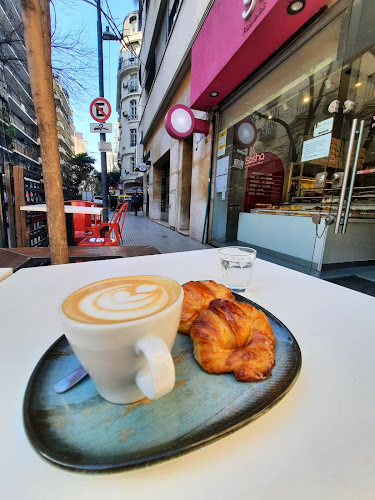 Sasha Pasteles - José Leonardo Ortiz