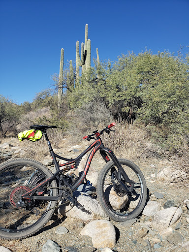 Bicycle Store «Grey Matter Family Bicycle Shop», reviews and photos, 5826 N 16th St, Phoenix, AZ 85016, USA