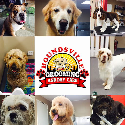 Houndsville Grooming and Day care