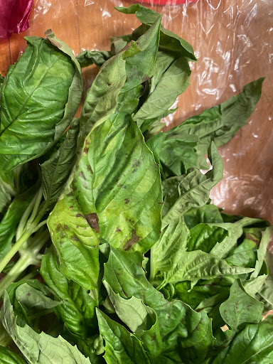 Supermarket «Stop & Shop», reviews and photos, 331 West St, Litchfield, CT 06759, USA