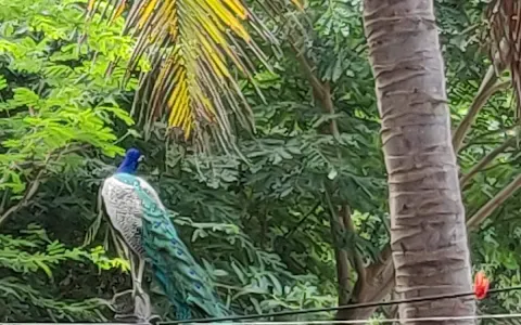 Sri Annai Nagar Children Park image