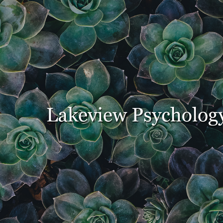 Lakeview Psychology