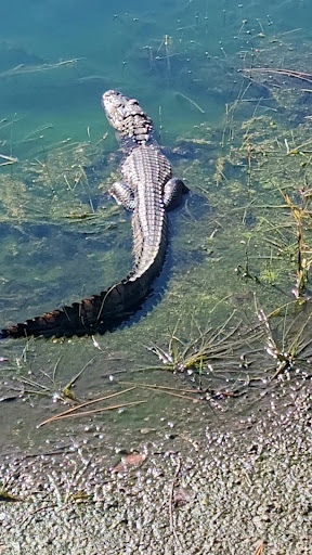 Golf Club «Silver Dollar Golf & Trap Club», reviews and photos, 12711 Silver Dollar Dr, Odessa, FL 33556, USA