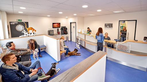 Veterinary practice Benrath - Dr.med.vet. Claudia Mamerow unter Düsseldorf, 