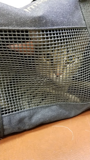 Animal Shelter «Humane Society of Ocean City», reviews and photos, 1 Shelter Rd, Ocean City, NJ 08226, USA