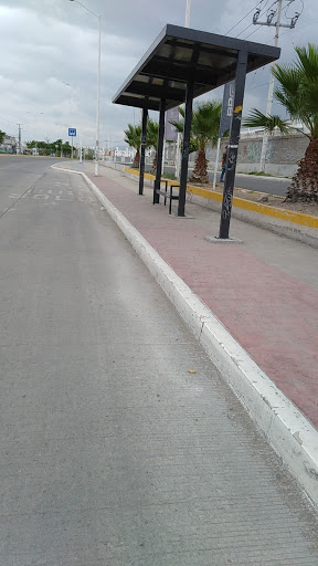 Parada de Autobús Paseo Querétaro