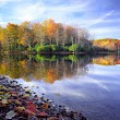 Laurel Bed Lake