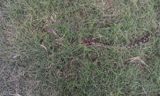 Gift Shop «Planet K Texas - Military», reviews and photos, 2803 Goliad Rd, San Antonio, TX 78223, USA