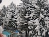 Mountain View Accommodations Logo, Whistler, Canada, Lodging