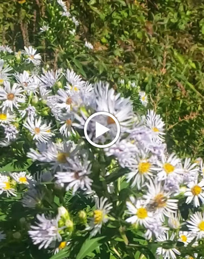 History Museum «Air Zoo Aerospace & Science Museum», reviews and photos, 6151 Portage Rd, Portage, MI 49002, USA