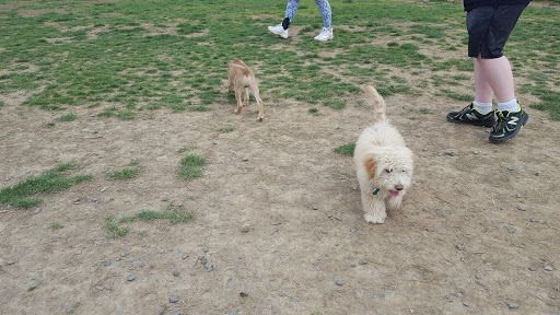 Dog Park «Dog Park», reviews and photos, 9068-9156 Wheatsheaf Rd, Morrisville, PA 19067, USA