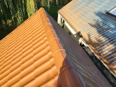 Dessoy rénov nettoyage toiture demoussage hydrofuge réparation peinture corniche HUY