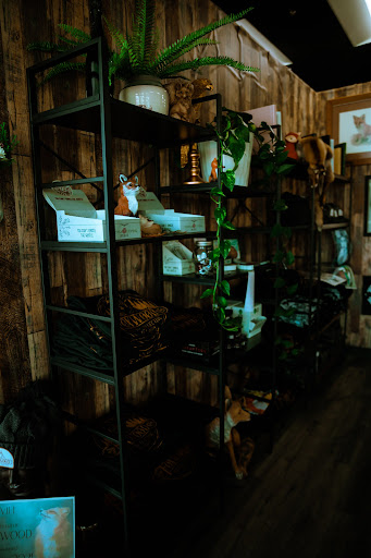Explore playing card tattoo ideas, creative tattoo ideas in Sykesville, available at Foxwood Tattoo Collective