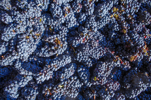 Winery «Maysara Winery», reviews and photos, 15765 Southwest Muddy Valley Road, McMinnville, OR 97128, USA