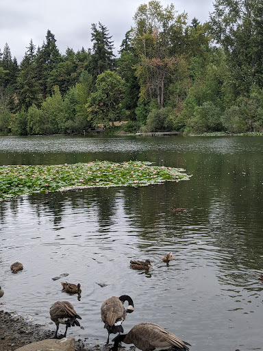 Park «Lake Boren Park», reviews and photos, 13058 SE 84th Way, Newcastle, WA 98056, USA