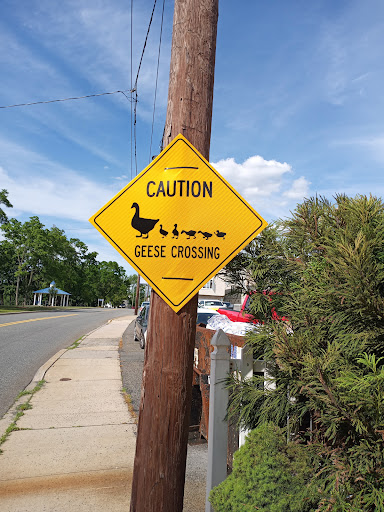 Auto Repair Shop «Meineke Car Care Center», reviews and photos, 316 River Rd, North Arlington, NJ 07031, USA