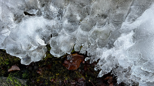 Природен парк „Българка“ - Други