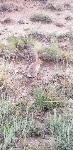 Park «Rudy Park», reviews and photos, 5360 Cracker Barrel Cir, Colorado Springs, CO 80917, USA