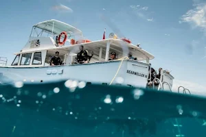 Sea Dwellers Dive Center of Key Largo image