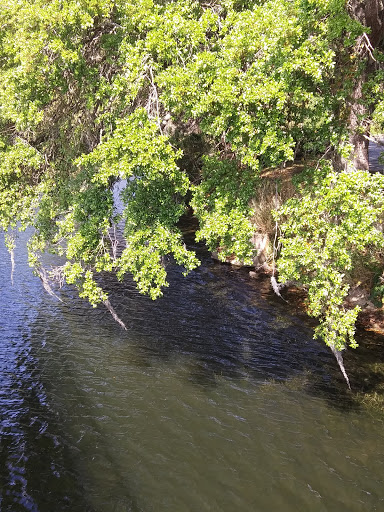 Art Museum «The Mennello Museum of American Art», reviews and photos, 900 E Princeton St, Orlando, FL 32803, USA