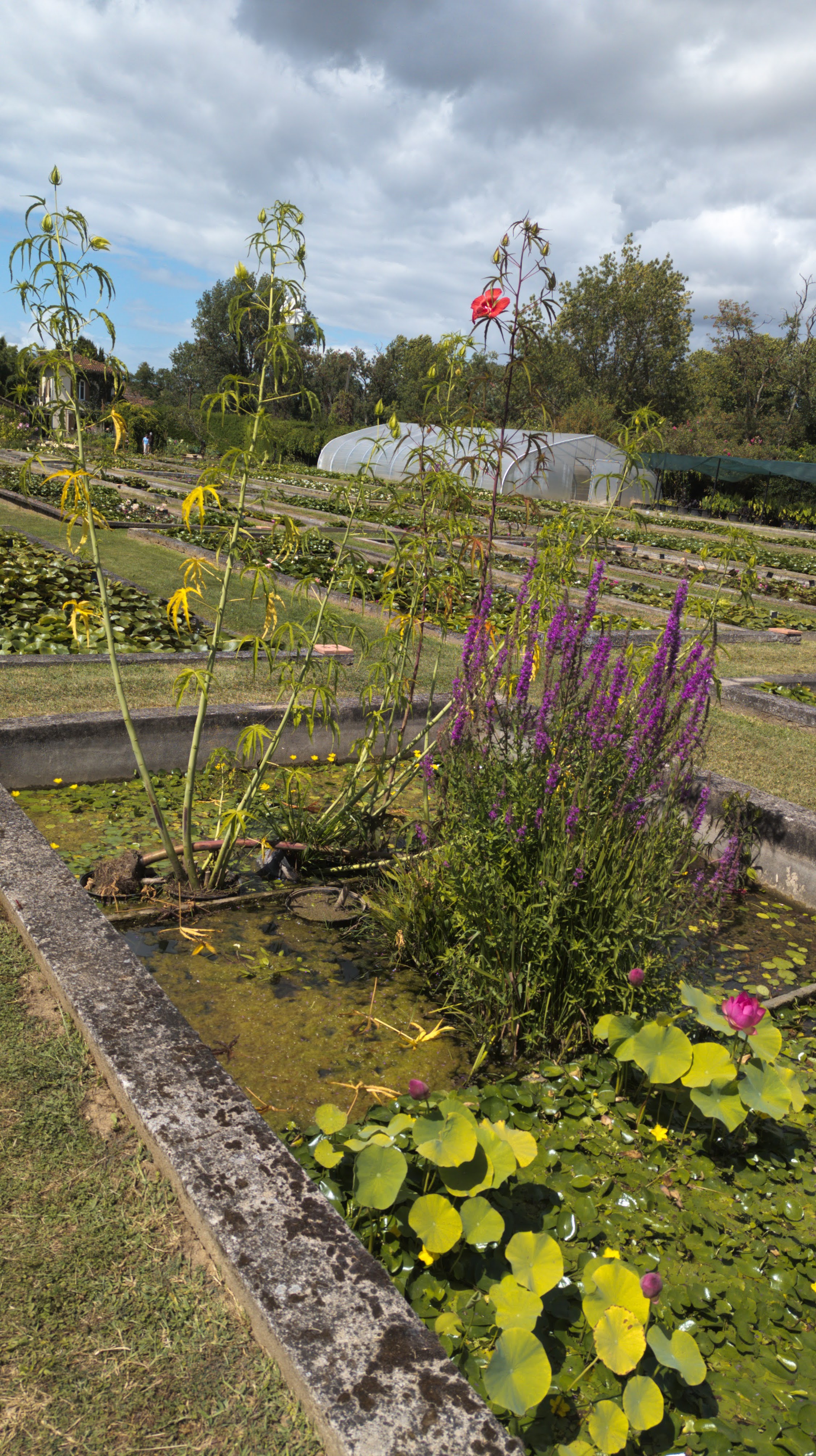 Photo n° 2 de l'avis de Olivier.i fait le 03/08/2023 à 20:38