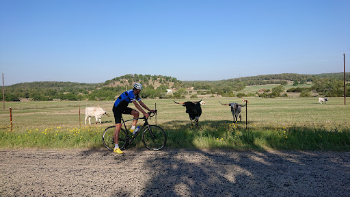 Bicycle Store «Hill Country Bicycle Works», reviews and photos, 702 E Main St # 290-E, Fredericksburg, TX 78624, USA