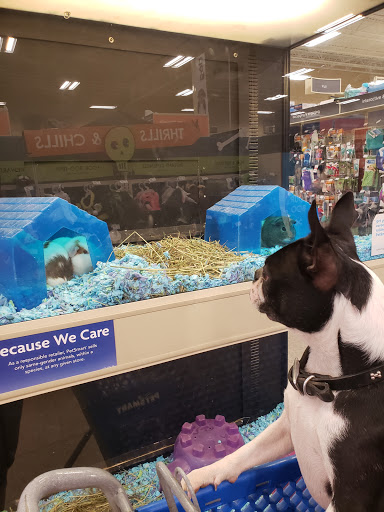 Pet Supply Store «PetSmart», reviews and photos, 815 McDermott Street, Council Bluffs, IA 51501, USA