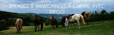 Diego, balades et randonnées à cheval à Rovon