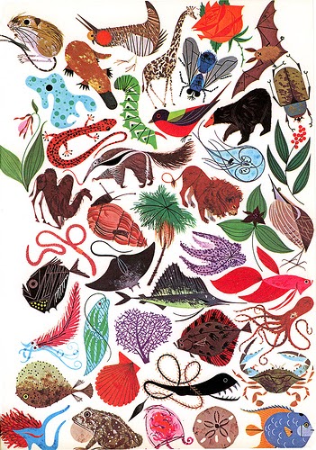 Charley Harper Gallery