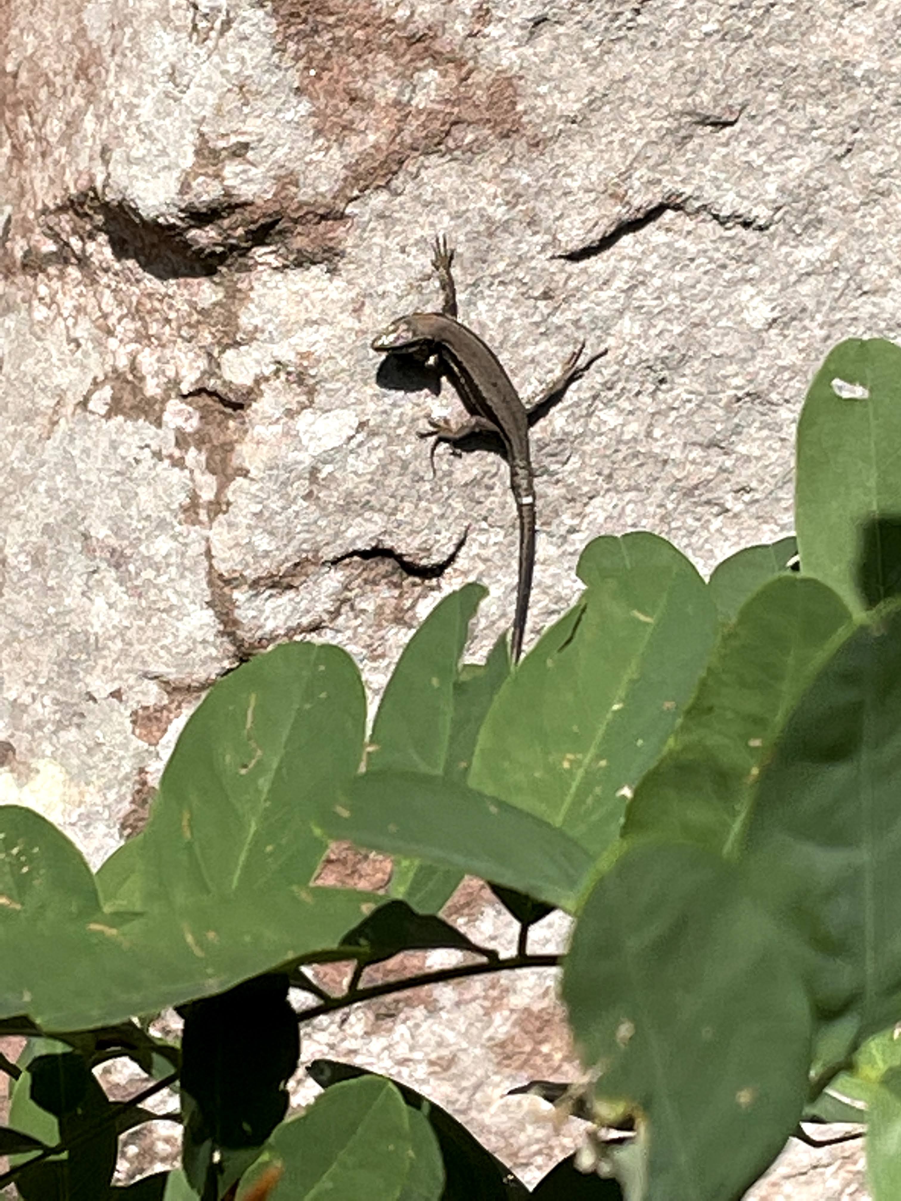 Photo n° 6 de l'avis de Tobi.s fait le 12/09/2021 à 23:40