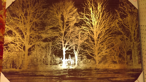 Dollar Store «FAMILY DOLLAR», reviews and photos, 674 N Alexander Ave, Port Allen, LA 70767, USA