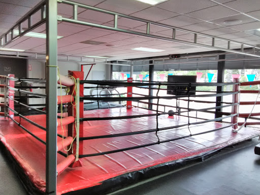 Martial Arts School «Victory MMA and Fitness», reviews and photos, 3666 Midway Dr, San Diego, CA 92110, USA