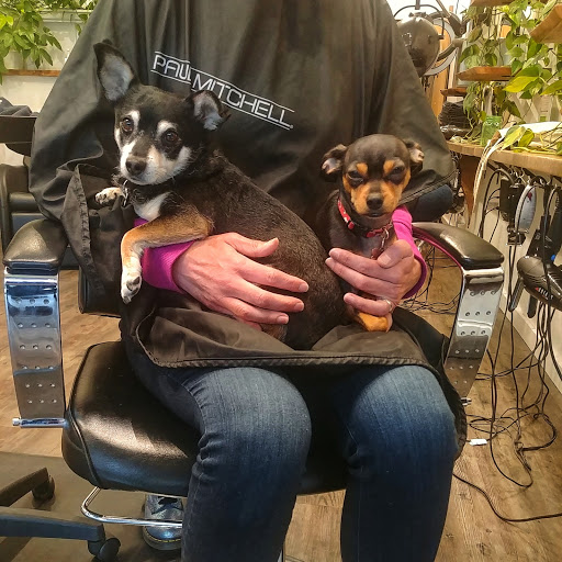 Hair Salon «Cathedral Park Salon», reviews and photos, Cathedral Park Salon, 7227 N Philadelphia Ave #103, Portland, OR 97203, USA