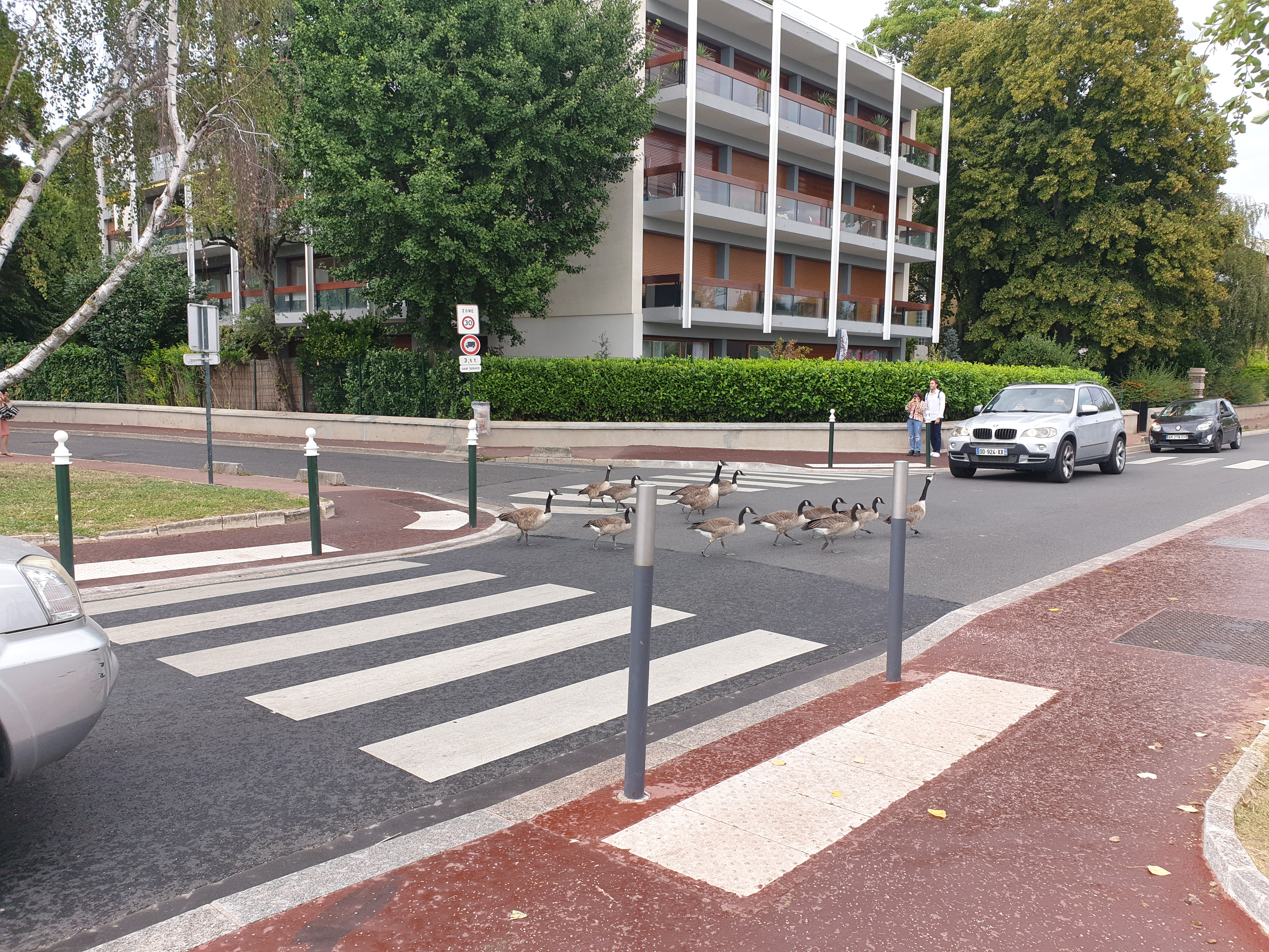 Photo n° 1 de l'avis de Remydesbois.e fait le 22/08/2021 à 09:27