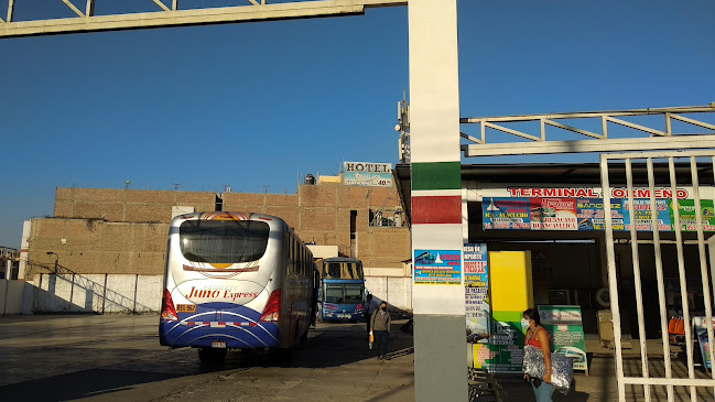Opiniones de Terminal de Transporte - Ormeño en Ica - Servicio de transporte