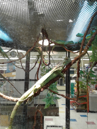 Pet Supply Store «Petco Animal Supplies», reviews and photos, 85 State St, Orem, UT 84058, USA