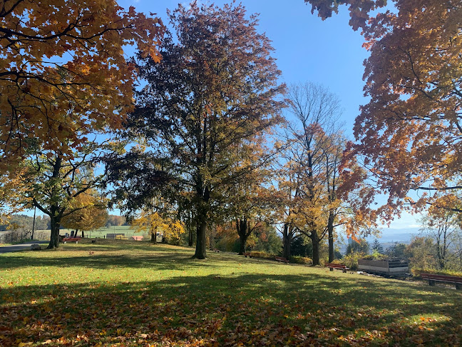 Findlingsgarten Kappenbühl