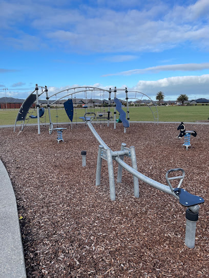 Ryder Park Playground