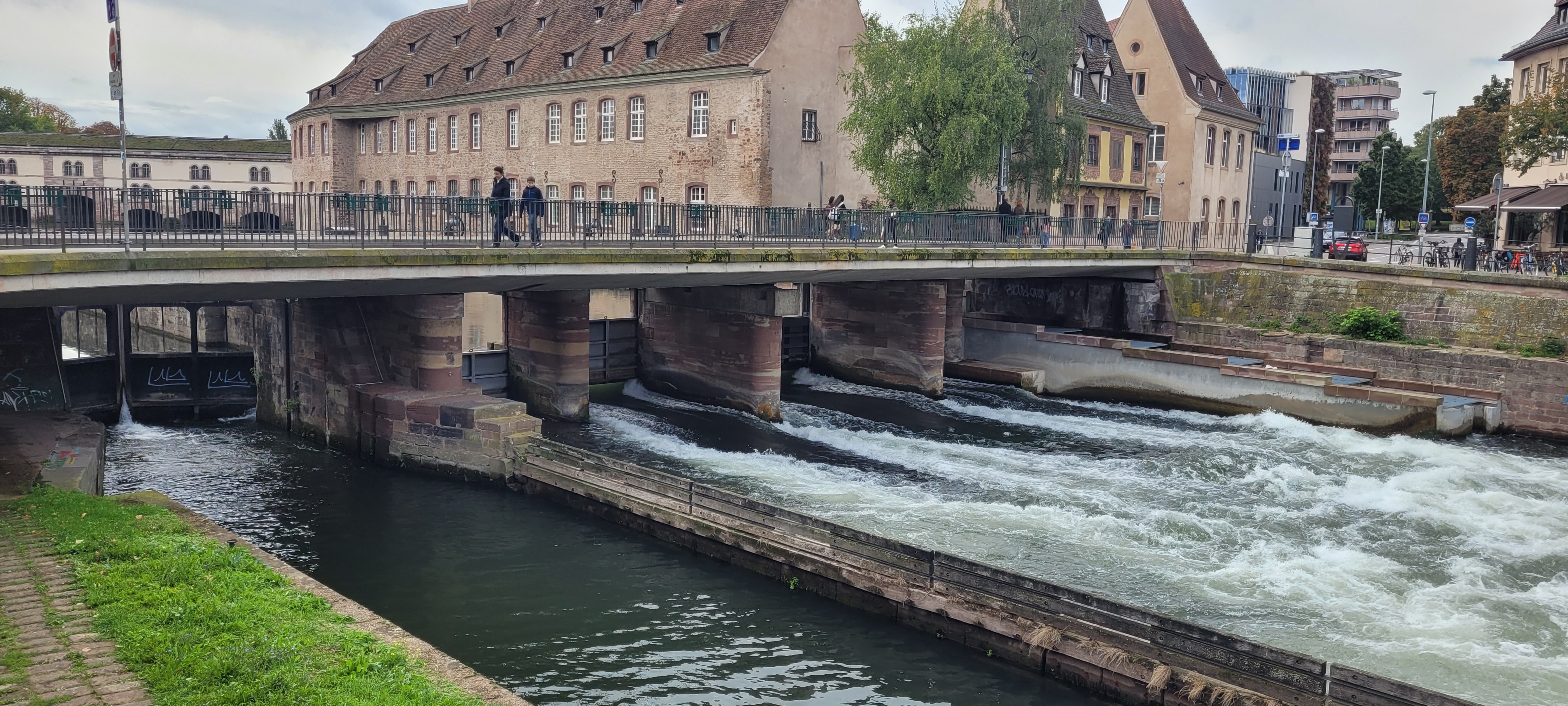 Photo n° 4 de l'avis de Shaun.a fait le 19/10/2022 à 18:08