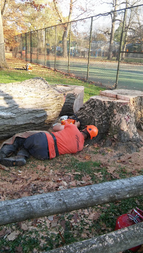 Nature Preserve «Camp Pine Woods», reviews and photos, Central Rd, Glenview, IL 60025, USA