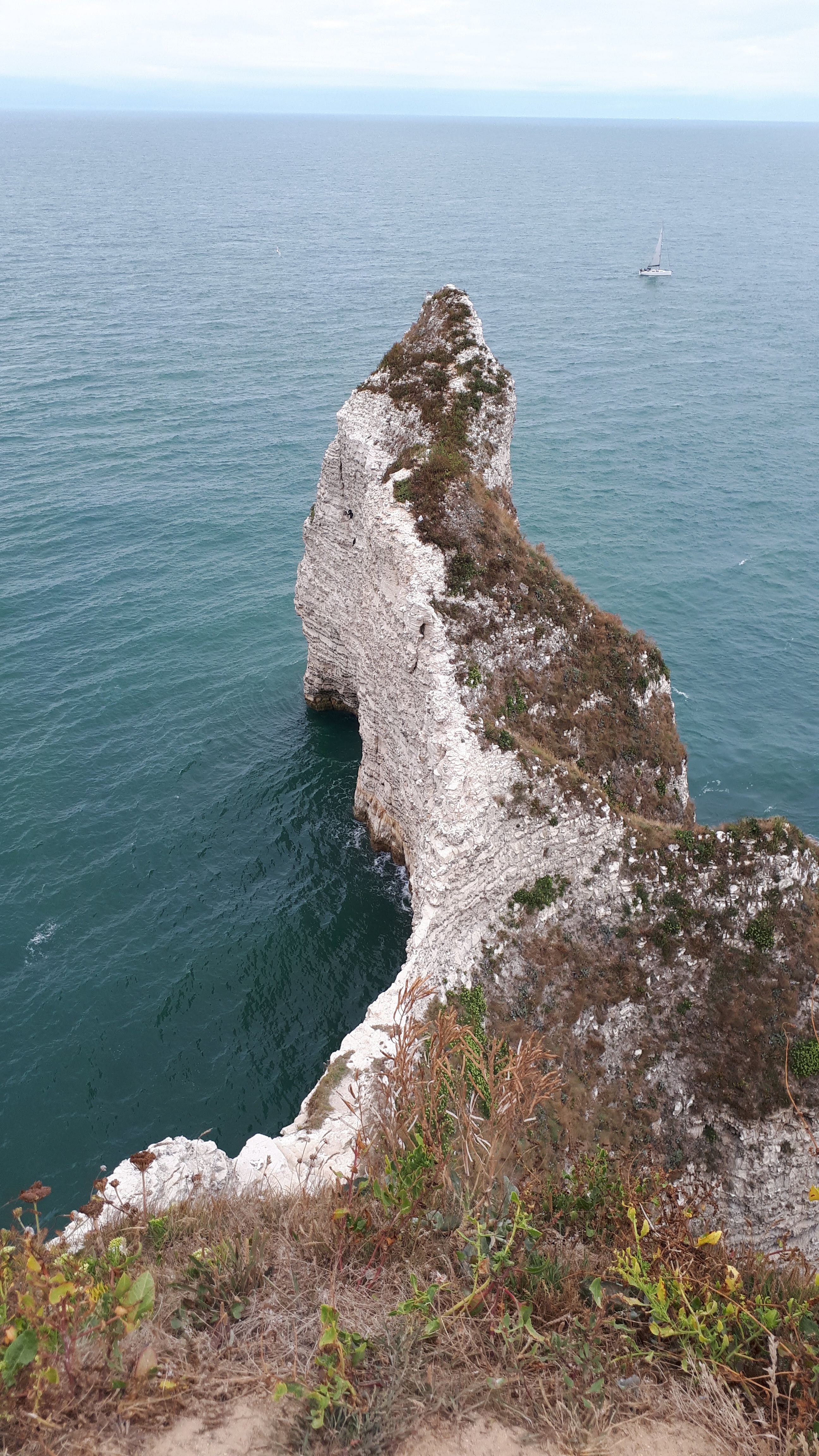 Photo n° 6 de l'avis de Rousseaux.h fait le 01/09/2018 à 14:25