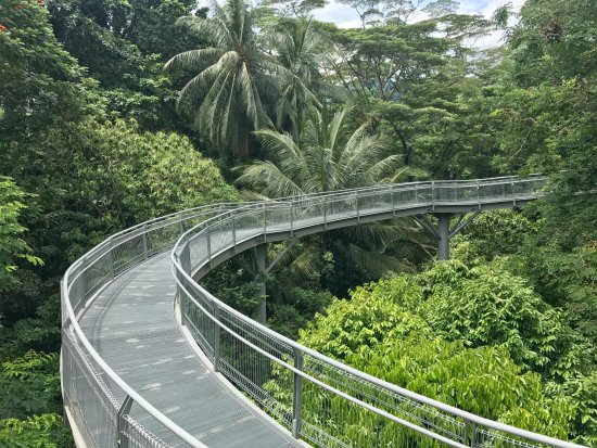 TreeTop Walk